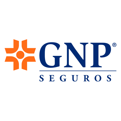 GNP